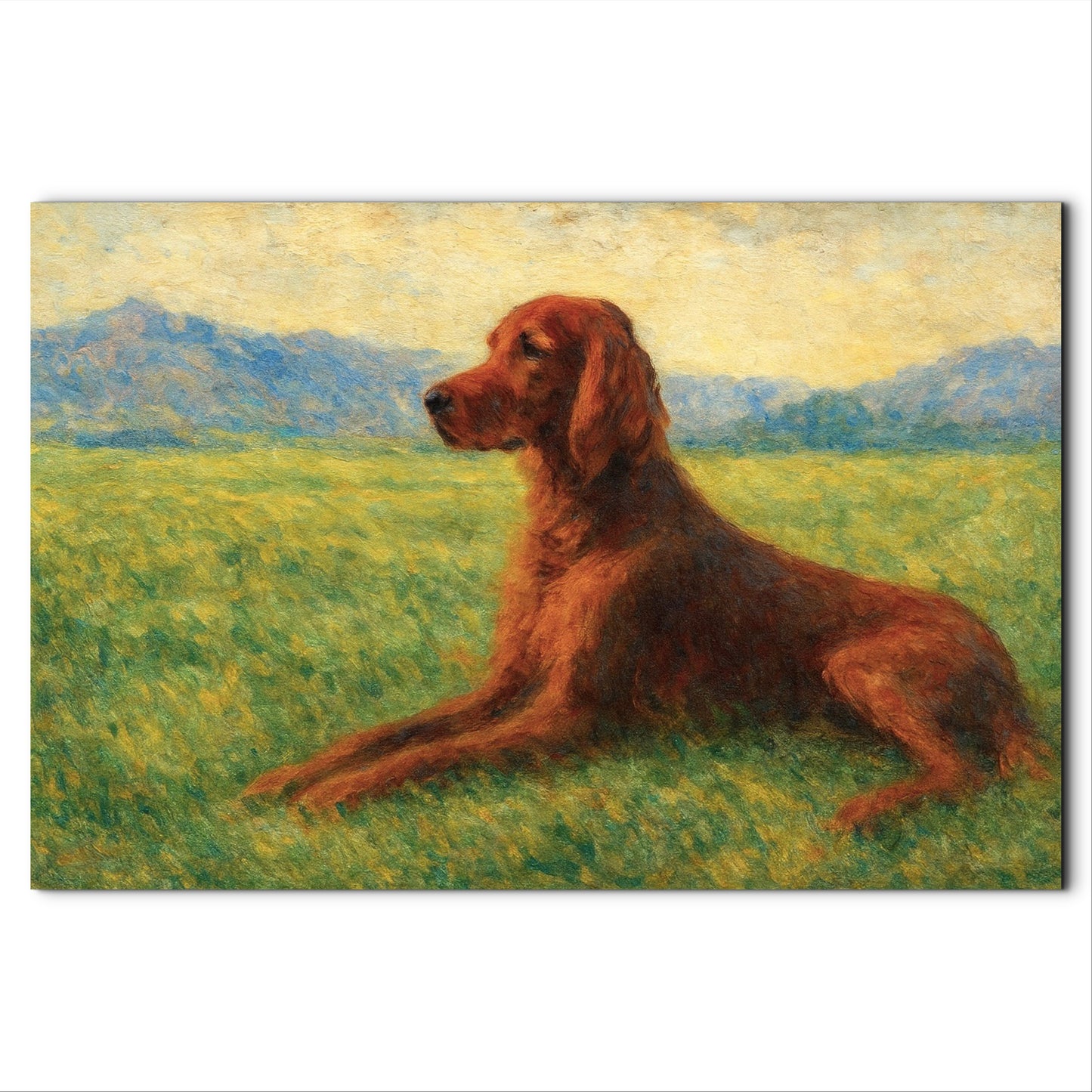 Liam, Irish Setter