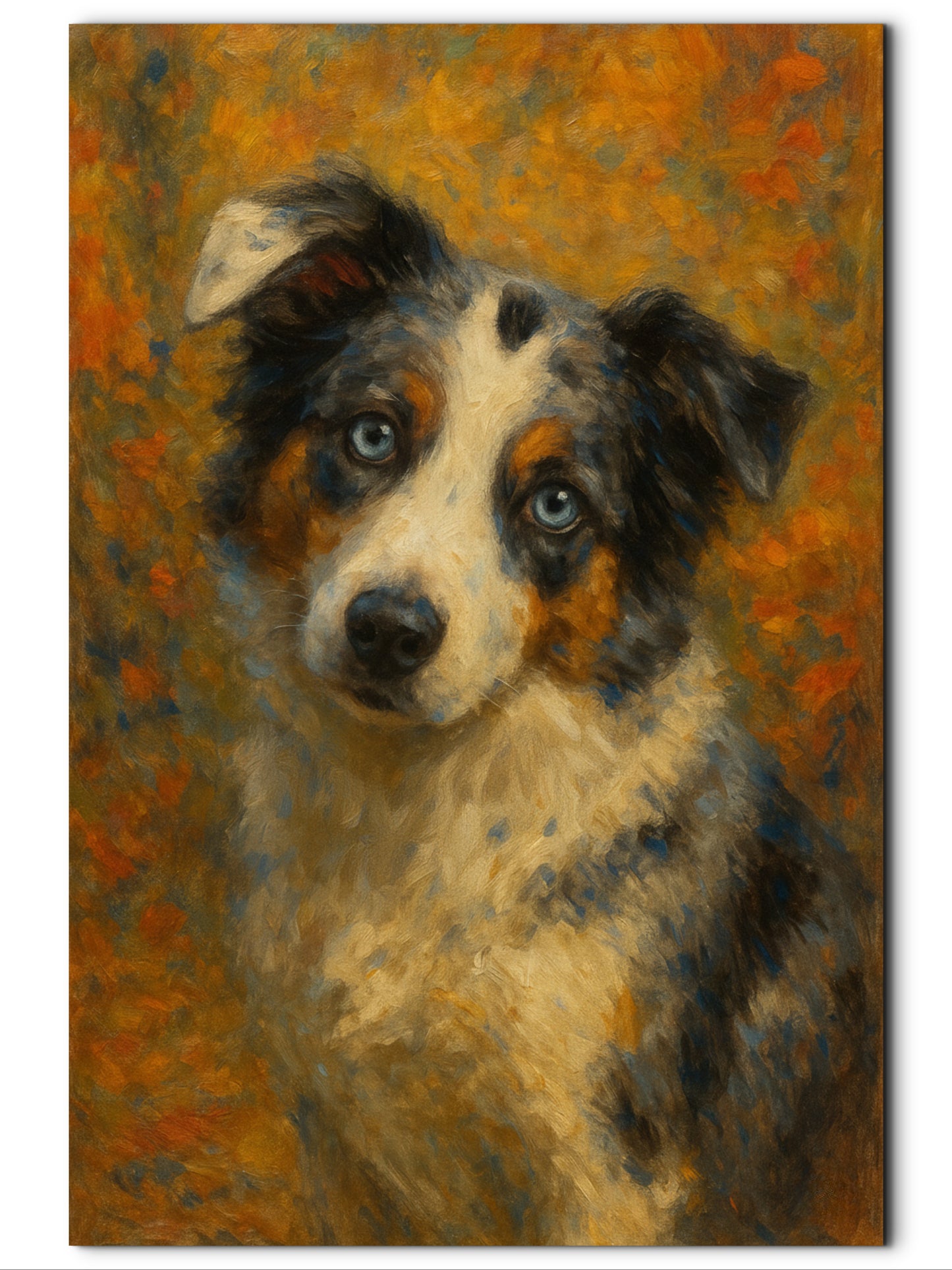 Riggs, Australian Shepherd