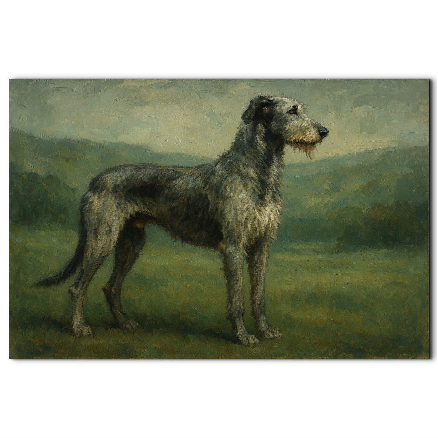 Seamus, Irish Wolfhound