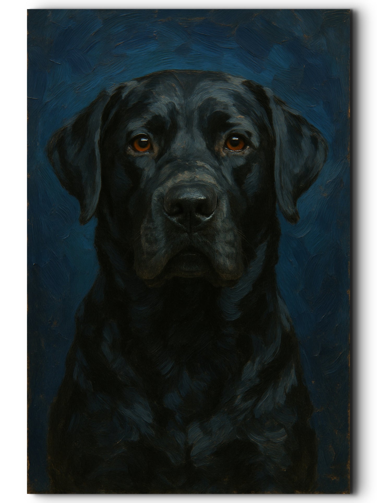 Beau, Black Lab