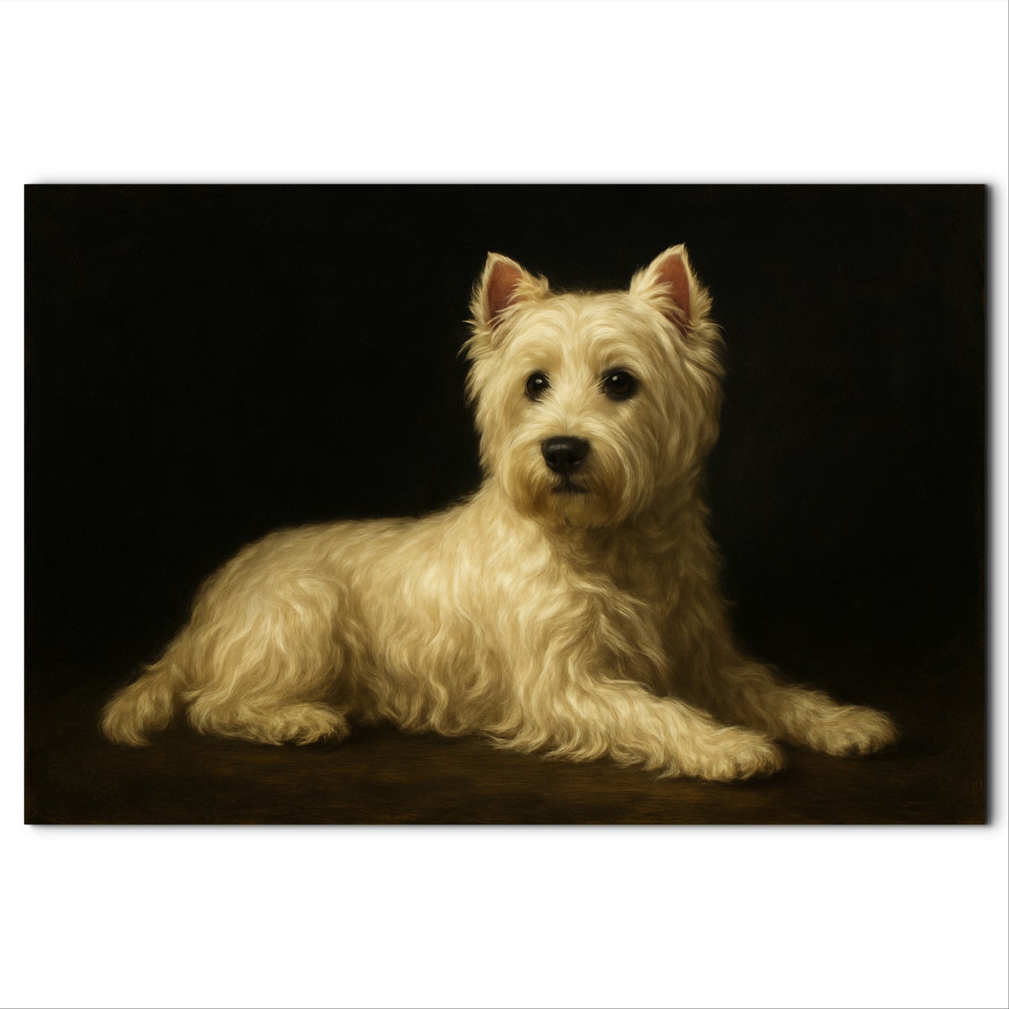 Finn, Scottish Westie