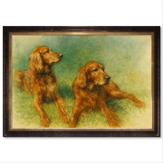 The Setters of Windmere Field