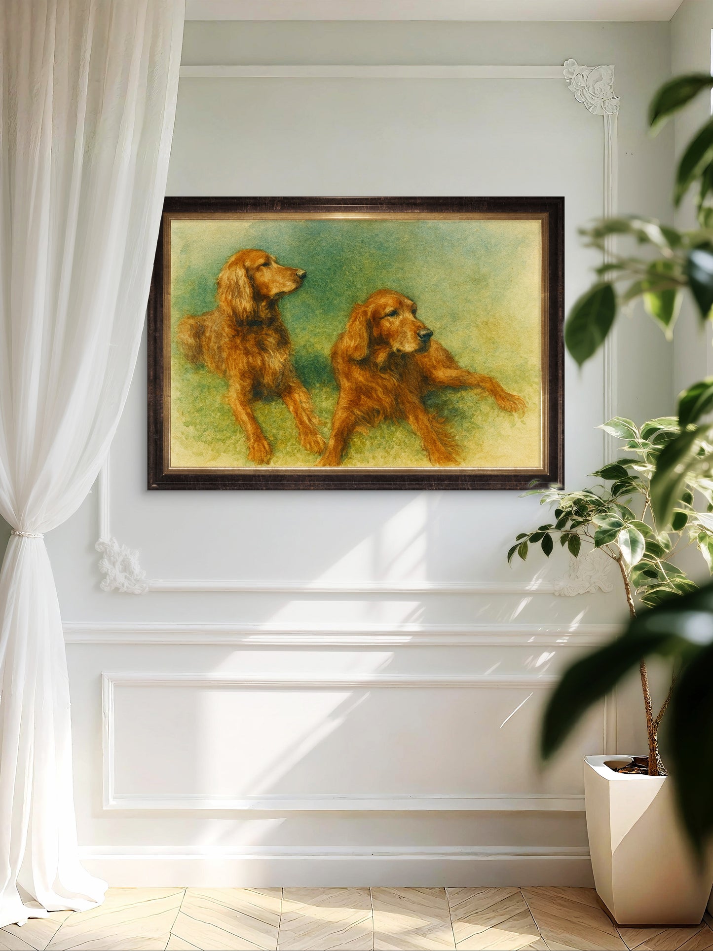 The Setters of Windmere Field