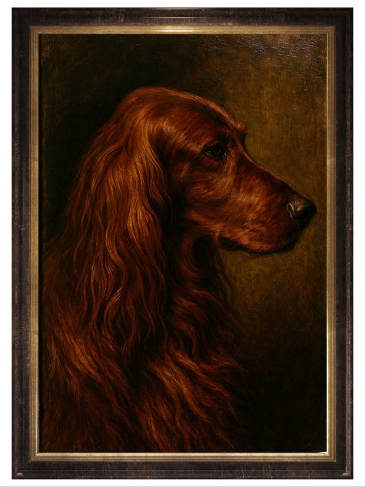 Kelly, Irish Setter