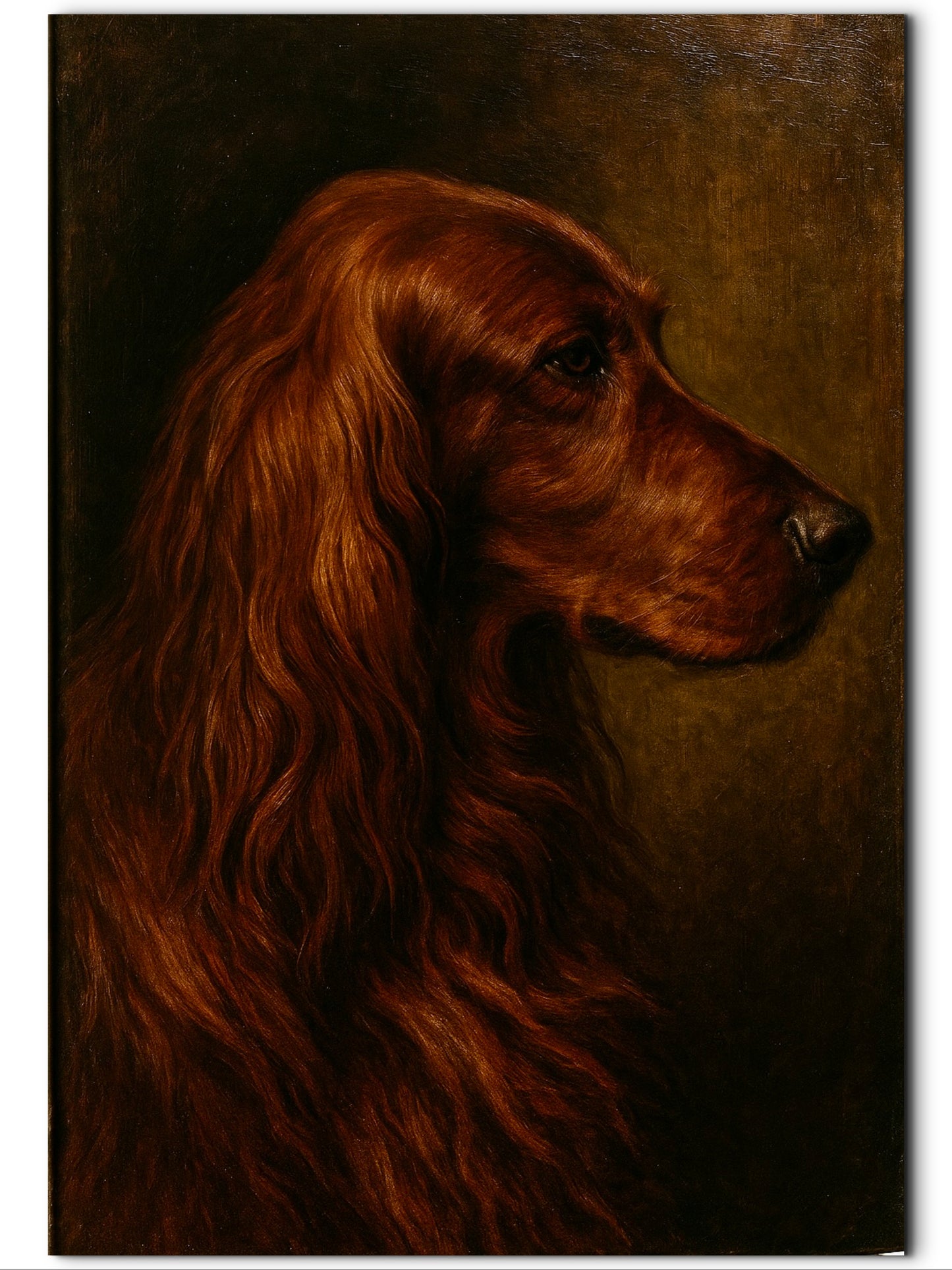 Kelly, Irish Setter