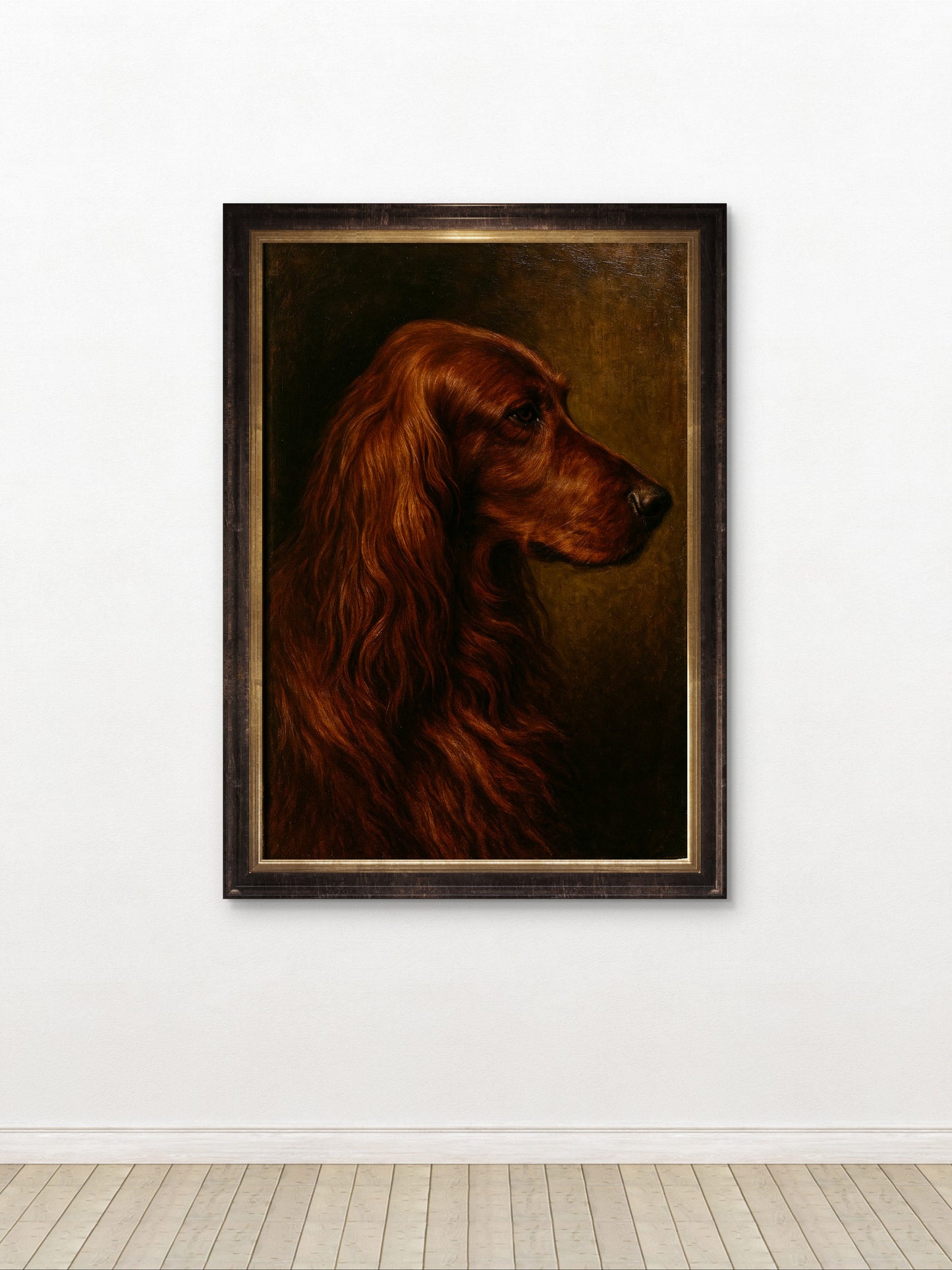 Kelly, Irish Setter