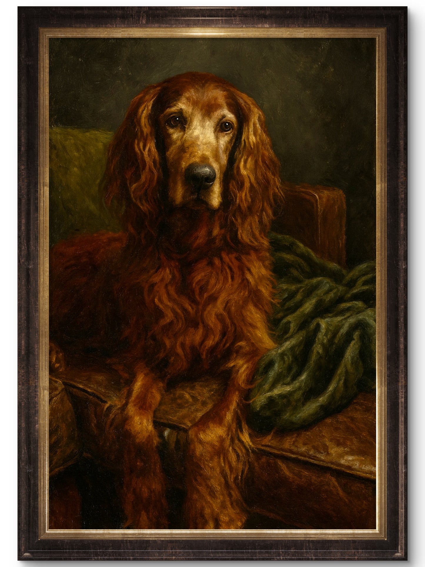 Kelly, Irish Setter