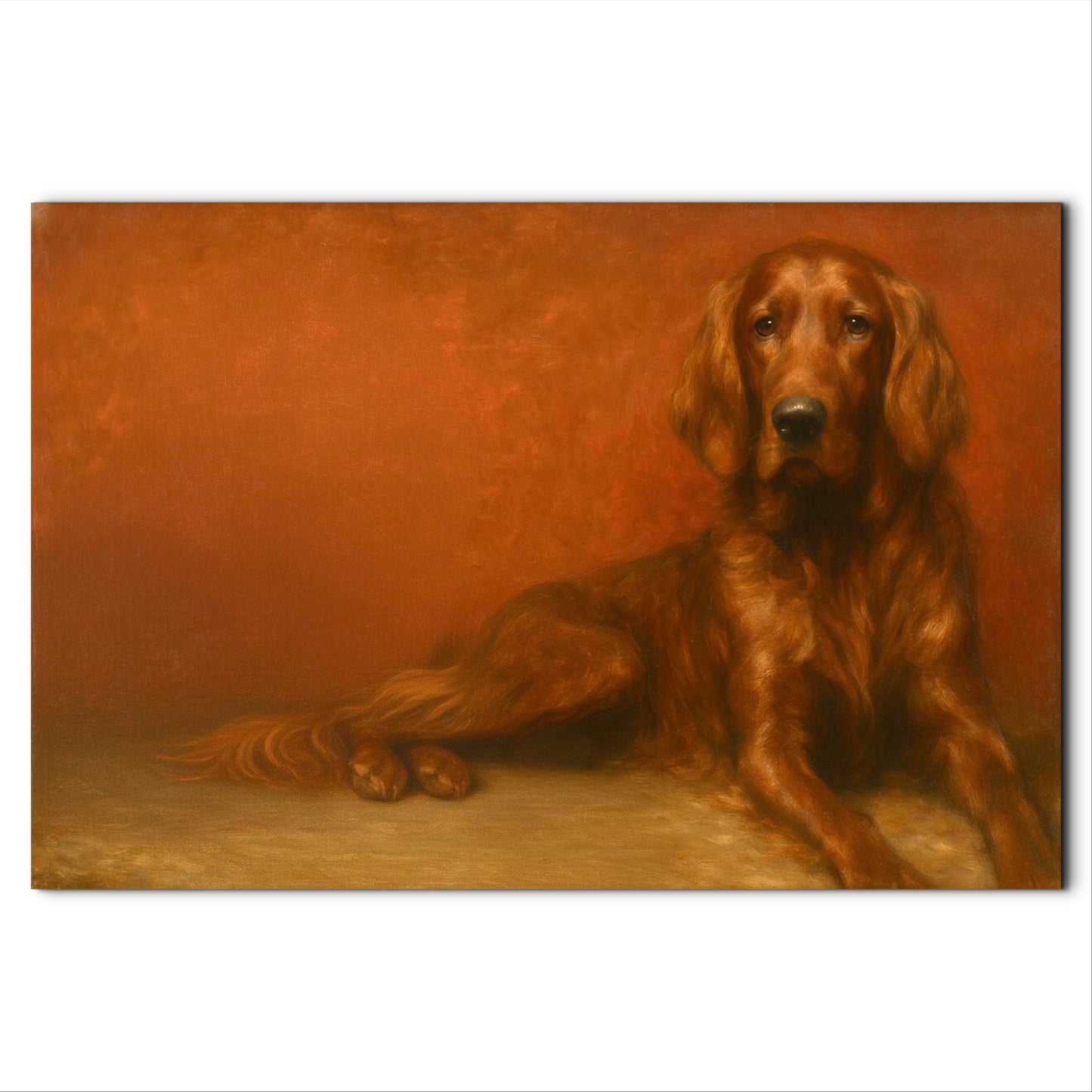 The Old Soul, Irish Setter