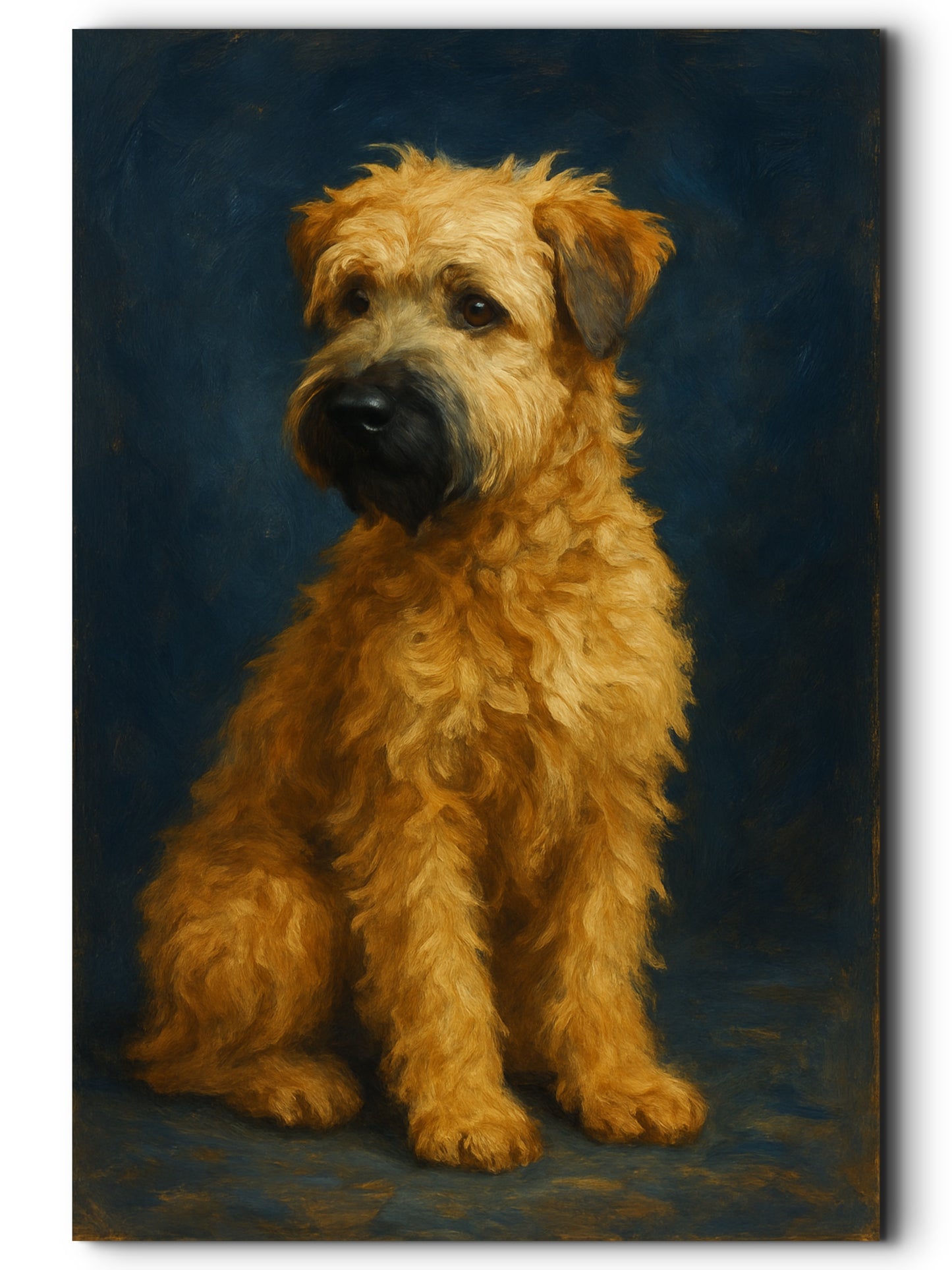 Lola, Wheaten Terrier