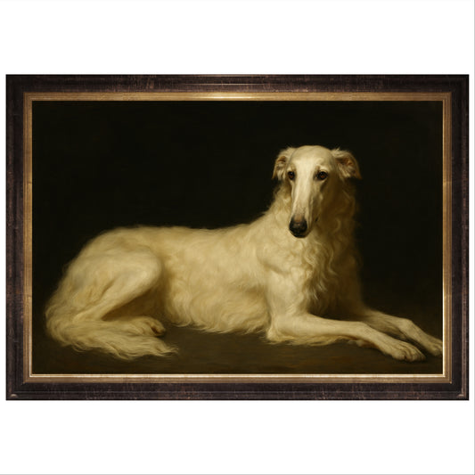 Shelly, Borzoi